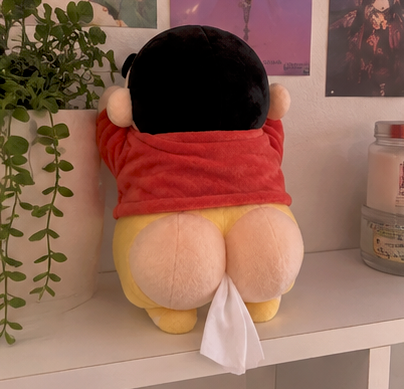 TushTissue™ - Funny Tissue Holder